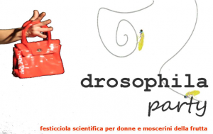 DROSOPHILA PARTY
